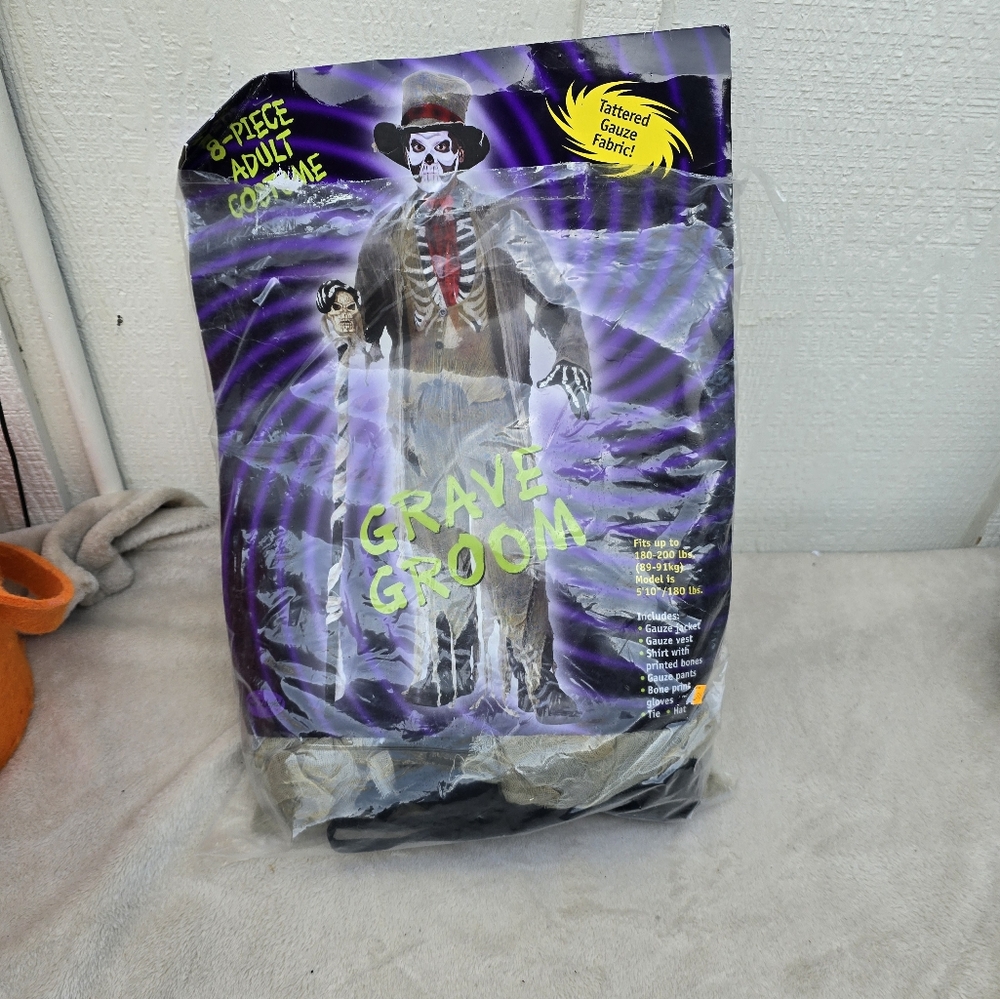 Grave Groom adult costume